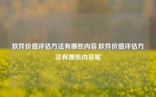 软件价值评估方法有哪些内容,软件价值评估方法有哪些内容呢