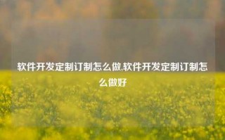 软件开发定制订制怎么做,软件开发定制订制怎么做好