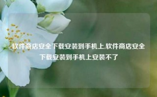 软件商店安全下载安装到手机上,软件商店安全下载安装到手机上安装不了