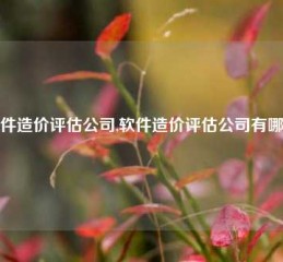 软件造价评估公司,软件造价评估公司有哪些