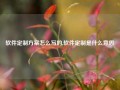 软件定制方案怎么写的,软件定制是什么意思