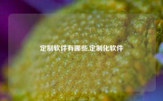 定制软件有哪些,定制化软件