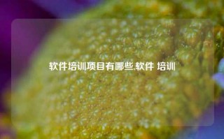 软件培训项目有哪些,软件 培训