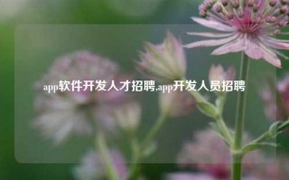 app软件开发人才招聘,app开发人员招聘