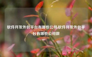 软件开发外包平台有哪些公司,软件开发外包平台有哪些公司做