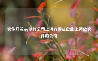 软件开发app制作公司上海有哪些企业,上海做软件的公司