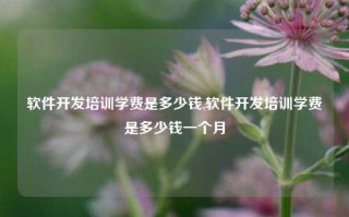 软件开发培训学费是多少钱,软件开发培训学费是多少钱一个月