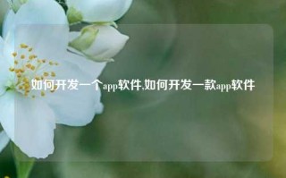 如何开发一个app软件,如何开发一款app软件