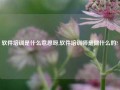 软件培训是什么意思呀,软件培训师是做什么的?