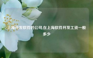 上海开发软件的公司,在上海软件开发工资一般多少