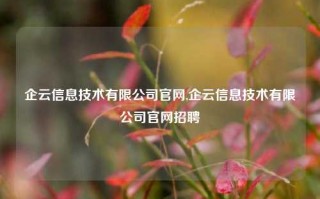 企云信息技术有限公司官网,企云信息技术有限公司官网招聘