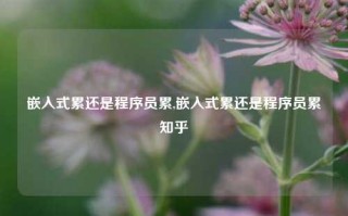 嵌入式累还是程序员累,嵌入式累还是程序员累知乎