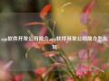 app软件开发公司简介,app软件开发公司简介怎么写