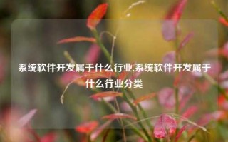 系统软件开发属于什么行业,系统软件开发属于什么行业分类