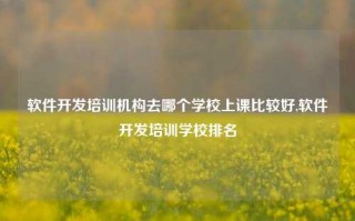 软件开发培训机构去哪个学校上课比较好,软件开发培训学校排名