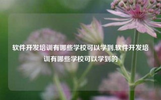 软件开发培训有哪些学校可以学到,软件开发培训有哪些学校可以学到的