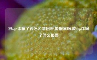 被app诈骗了钱怎么拿回来,能报案吗,被app诈骗了怎么报警