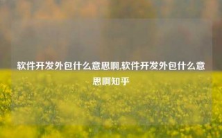 软件开发外包什么意思啊,软件开发外包什么意思啊知乎