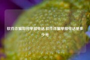 软件诈骗如何举报电话,软件诈骗举报电话是多少号