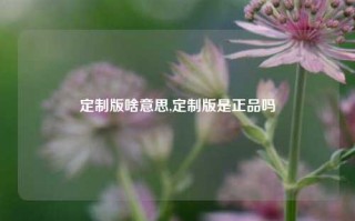 定制版啥意思,定制版是正品吗