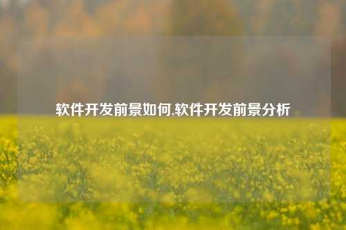 软件开发前景如何,软件开发前景分析-第1张图片-连云港禾元网络科技有限公司