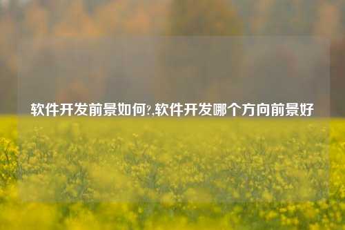 软件开发前景如何?,软件开发哪个方向前景好-第1张图片-连云港禾元网络科技有限公司