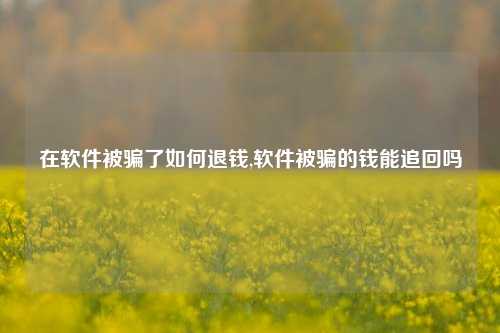 在软件被骗了如何退钱,软件被骗的钱能追回吗-第1张图片-连云港禾元网络科技有限公司