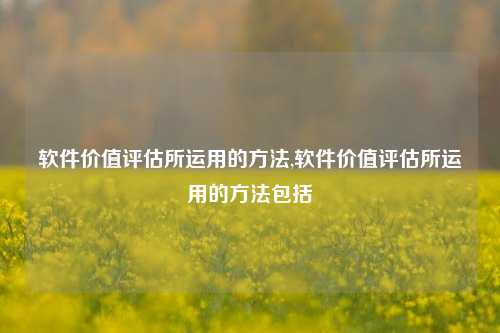 软件价值评估所运用的方法,软件价值评估所运用的方法包括-第1张图片-连云港禾元网络科技有限公司