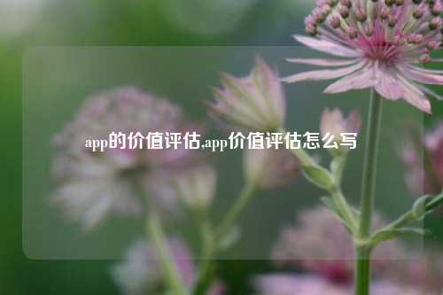 app的价值评估,app价值评估怎么写-第1张图片-连云港禾元网络科技有限公司