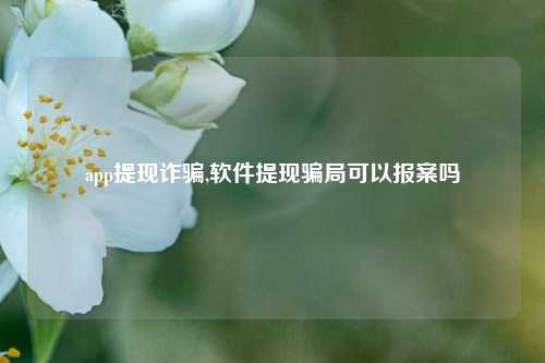 app提现诈骗,软件提现骗局可以报案吗-第1张图片-连云港禾元网络科技有限公司