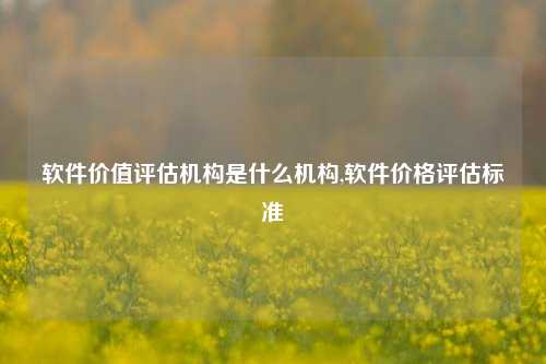 软件价值评估机构是什么机构,软件价格评估标准-第1张图片-连云港禾元网络科技有限公司