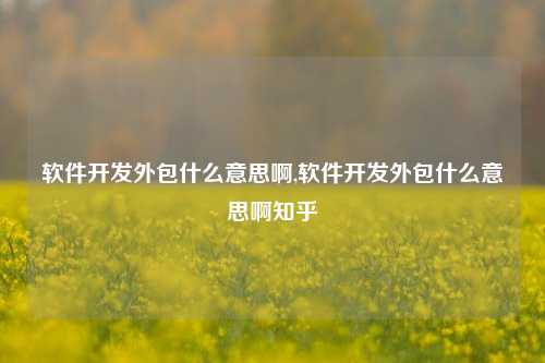 软件开发外包什么意思啊,软件开发外包什么意思啊知乎-第1张图片-连云港禾元网络科技有限公司