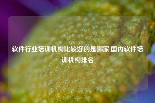 软件行业培训机构比较好的是哪家,国内软件培训机构排名-第1张图片-连云港禾元网络科技有限公司