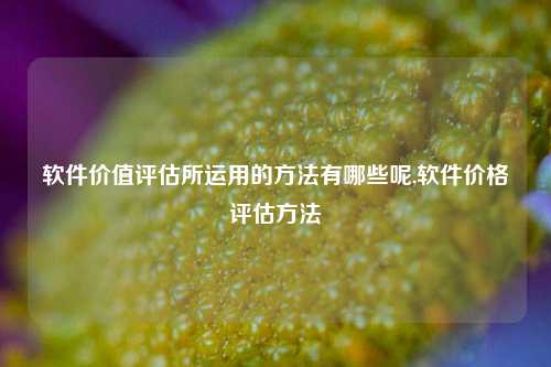 软件价值评估所运用的方法有哪些呢,软件价格评估方法-第1张图片-连云港禾元网络科技有限公司