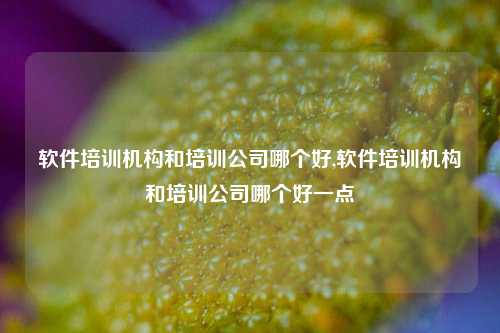 软件培训机构和培训公司哪个好,软件培训机构和培训公司哪个好一点-第1张图片-连云港禾元网络科技有限公司