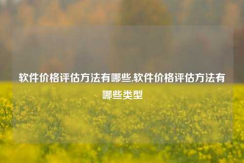 软件价格评估方法有哪些,软件价格评估方法有哪些类型-第1张图片-连云港禾元网络科技有限公司