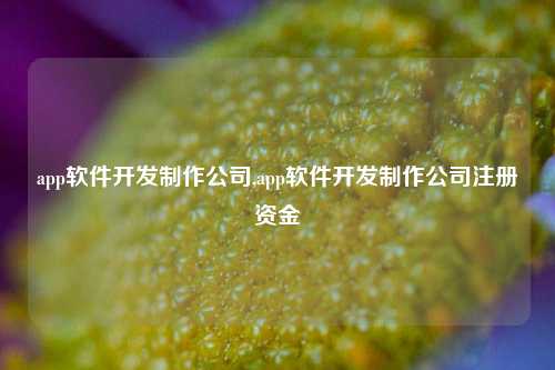 app软件开发制作公司,app软件开发制作公司注册资金-第1张图片-连云港禾元网络科技有限公司