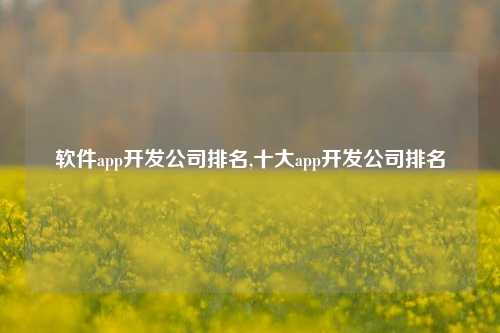 软件app开发公司排名,十大app开发公司排名-第1张图片-连云港禾元网络科技有限公司