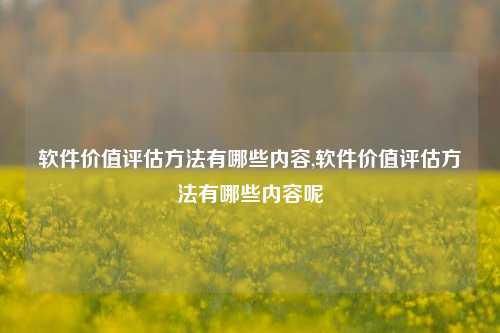 软件价值评估方法有哪些内容,软件价值评估方法有哪些内容呢-第1张图片-连云港禾元网络科技有限公司