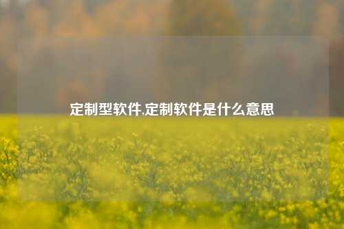 定制型软件,定制软件是什么意思-第1张图片-连云港禾元网络科技有限公司