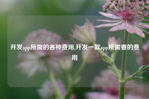 开发app所需的各种费用,开发一款app所需要的费用-第1张图片-连云港禾元网络科技有限公司