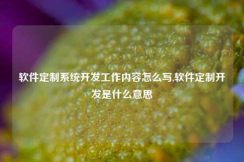 软件定制系统开发工作内容怎么写,软件定制开发是什么意思-第1张图片-连云港禾元网络科技有限公司