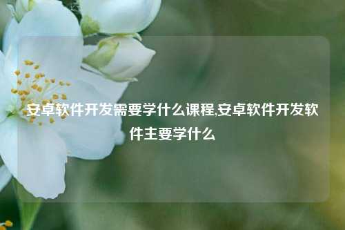 安卓软件开发需要学什么课程,安卓软件开发软件主要学什么-第1张图片-连云港禾元网络科技有限公司