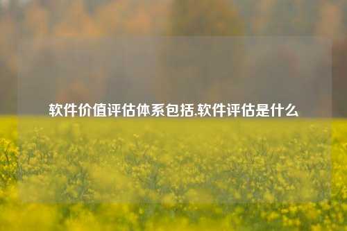 软件价值评估体系包括,软件评估是什么-第1张图片-连云港禾元网络科技有限公司