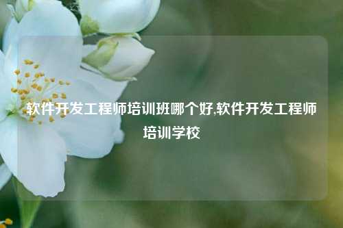 软件开发工程师培训班哪个好,软件开发工程师培训学校-第1张图片-连云港禾元网络科技有限公司