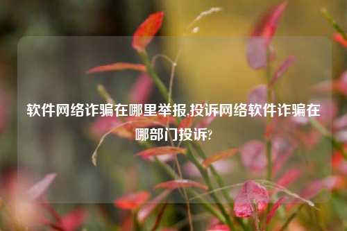 软件网络诈骗在哪里举报,投诉网络软件诈骗在哪部门投诉?-第1张图片-连云港禾元网络科技有限公司