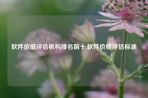 软件价值评估机构排名前十,软件价格评估标准-第1张图片-连云港禾元网络科技有限公司