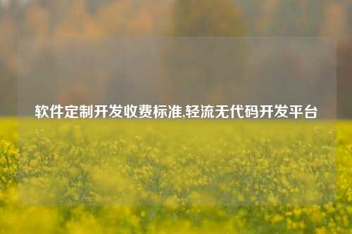 软件定制开发收费标准,轻流无代码开发平台-第1张图片-连云港禾元网络科技有限公司