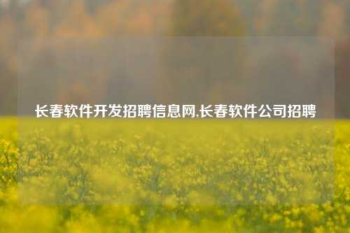 长春软件开发招聘信息网,长春软件公司招聘-第1张图片-连云港禾元网络科技有限公司