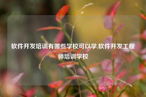 软件开发培训有哪些学校可以学,软件开发工程师培训学校-第1张图片-连云港禾元网络科技有限公司